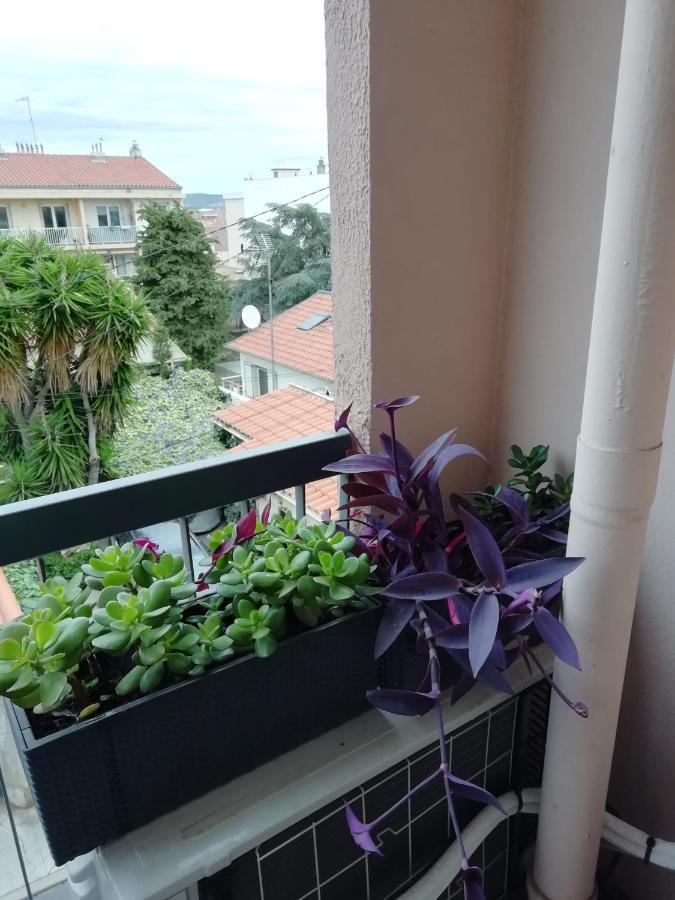 Appartamento " Sete A Vous" Esterno foto